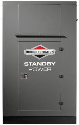 Газовый генератор Briggs & Stratton G1000 